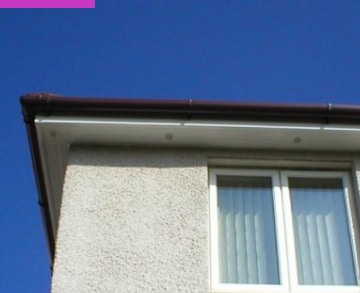 QFI Roofline Specialists